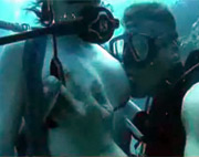 Follada bajo el agua y nadando con delfines