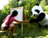 Como Sigourney Weaver en gorilas en la niebla , pero con un oso panda